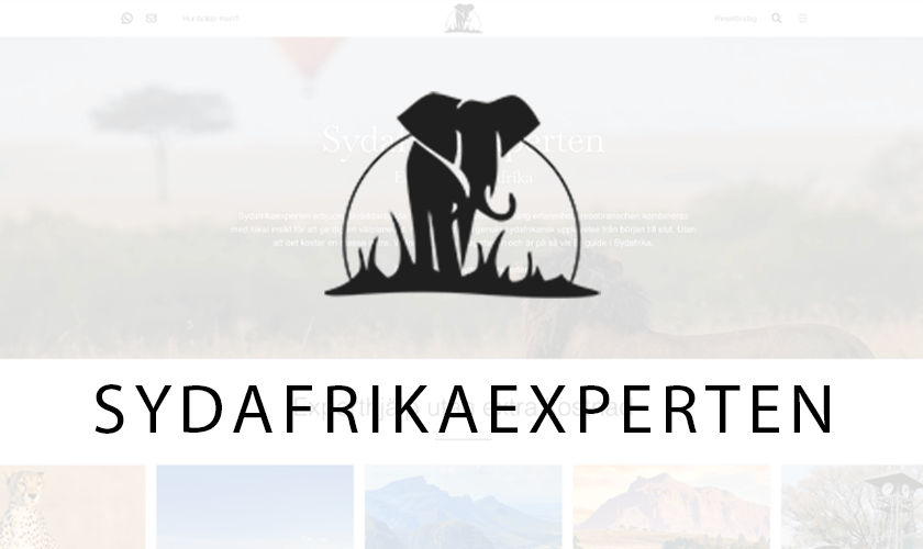 A Modern Rebuild for a Sweden-to-Cape Town Travel Brand