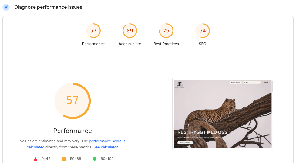 Sydafrikaeexperten old site built by another company, with no focus on web core vitals